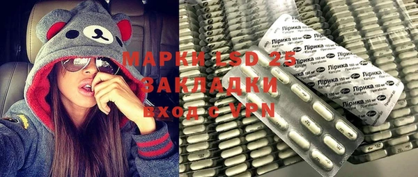 индика Карталы