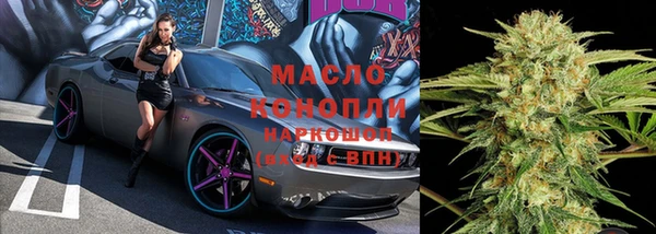 индика Карталы