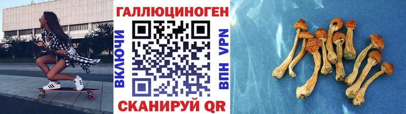 Псилоцибиновые грибы Cubensis  KRAKEN tor  Николаевск-на-Амуре 